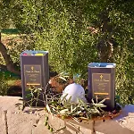 Tenuta La Pomona