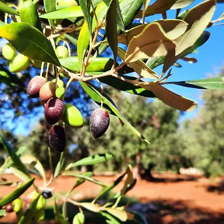 Tenuta La Pomona Séjour à la campagne