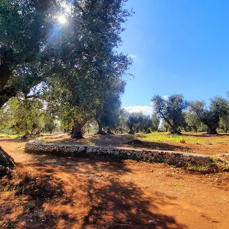 Tenuta La Pomona Séjour à la campagne *